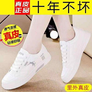 ₷ _炩 y ꂢ [q[ pvX V[Y fB[X Wj[ _ C fB[XV[Y 2025 t \tg \[ X|[c V[Y fB[XXj[J[ v 