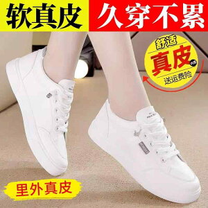 ₷ _炩 y ꂢ [q[ pvX V[Y fB[X Yierkang v zCg V[Y fB[X 2025 t tbg\[ y ~ \tg \[ tH Xj[J