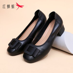 ₷ _炩 y ꂢ [q[ pvX V[Y fB[X bh g{ fB[XV[Y 2025 t v  q[ v fB[X ʋ U[V[Y  ~h