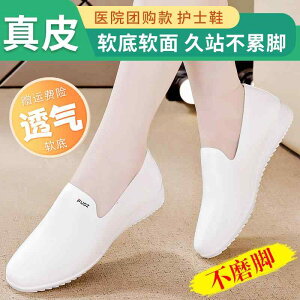 ɂȂ ₷ Ղ  l [q[ pvX V[Y fB[X v i[XV[Y p 2024H~ \tg \[ Xb| fB[X ʋC ʋ C