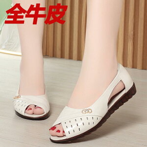 ɂȂ ₷ Ղ  l [q[ pvX V[Y fB[X Yierkang v T_ p 2025  N \tg \[ fB[X tBbV }EX V[Y JW