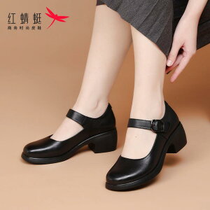 fB[X r ꂢ l  fB[X _XV[Y bhhS tC }} _X V[Y XNGA_X v fB[XV[Y T}[ [WF[ nCq[