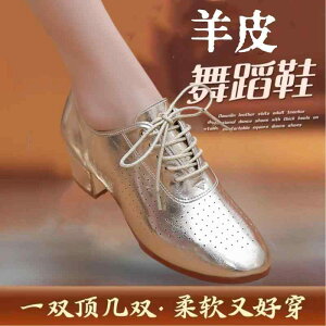 fB[X r ꂢ l  fB[X _XV[Y 2025N S[fV[v XL XNGA_X V[Y fB[X \tg {g  fB[XV[Y ECO 