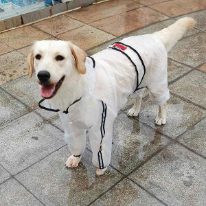  h h  y ʋC ybg p@CR[g@  l{   CR[g efB S[fgo[ Č nXL[  ^ ybg J  h 