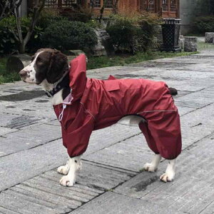  h h  y ʋC ybg p@CR[g@ ^ ^ ^ p ybgp l  CR[gB S[fgo[ uh[ VFp[h W[ } VFp[