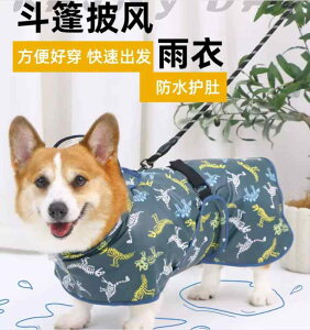  h h  y ʋC ybg p@CR[g@ p CR[g J  o h @ R[M[ p |` ^  ^   
