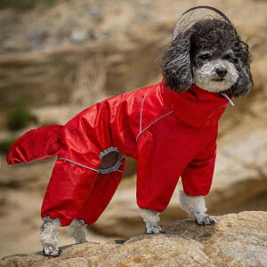  h h  y ʋC ybg p@CR[g@  CR[g q l{  I[CN[Vu ^  Č rV ViEU[ efB CEFA