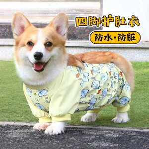  h h  y ʋC ybg p@CR[g@ ybg  ho pc    R[M[ ^  ی l  CR[g h  h~ r Jo[