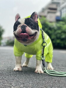  h h  y ʋC ybg p@CR[g@ t` hD CR[g ViEU[ s[X Xgb` h ʋC ybg efB rV Č }`[Y