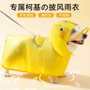  h h  y ʋC ybg p@CR[g@ R[M[ Aq^ CR[g ^  _bNXtg |jAp J  op h  |` 