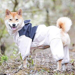  h h  y ʋC ybg p@CR[g@  ^ p ybg CR[g 4{  h I[CN[Vu Č H WPbg ƒ h  \