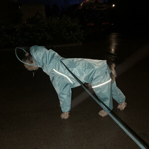  h h  y ʋC ybg p@CR[g@ y ̂z CN u[ ^ p CR[g Wbp[ t 4{  I[CN[Vu WPbg ViEU