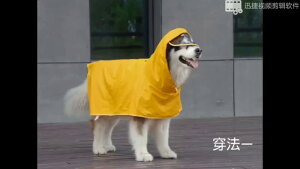  h h  y ʋC ybg p@CR[g@ ybg ^  Vv CR[g   AXJ S[fgo[ nXL[ Hc rA   |`