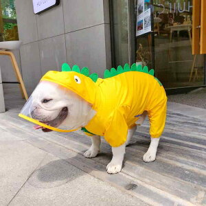  h h  y ʋC ybg p@CR[g@ p CR[g l  h t Jo[ ^  t`uhbO  Č R[M[ p 