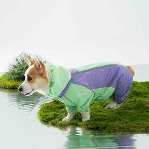  h h  y ʋC ybg p@CR[g@ l  I[CN[Vu R[M[ ATg CR[g _bNXtg  ybg h Č t`uhbO Rb