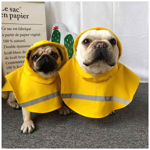  h h  y ʋC ybg p@CR[g@ pO CR[g t`uhbO  uhbO  ybg