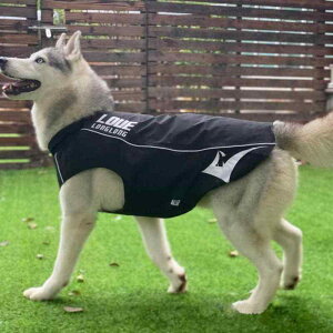  h h  y ʋC ybg p@CR[g@ ybgp AEghA h h xXg R[M[ S[fgo[ {[_[R[ ^ ^ ^ p CR[g A