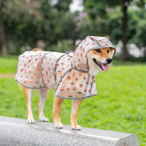  h h  y ʋC ybg p@CR[g@ p CR[g ^  ^  AEghA h  Č S[fgo[ R[M[ q ybgp LmR