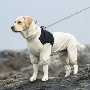  h h  y ʋC ybg p@CR[g@ ^  ^ ^ p p CR[g p l{  C}i[ Č Hc {[_[R[ h   |`