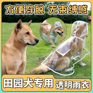  h h  y ʋC ybg p@CR[g@  q̓I   CR[g ^  ^ p t[ht |` ybg U o h ꂽ A[e