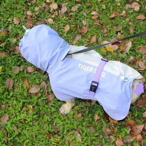  h h  y ʋC ybg p@CR[g@ TIGERDOG ybg p CR[g h J   ^  ^ q t`uhbO t Jo[