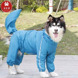  h h  y ʋC ybg p@CR[g@ ^  ^  S[fgo[ TGh nXL[ AXJ uh[ W[ } VFp[hp I[