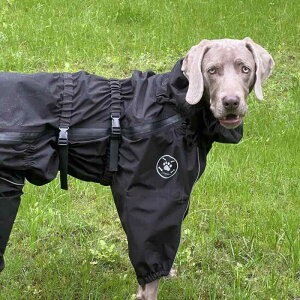  h h  y ʋC ybg p@CR[g@ p WPbg t Jo[ h ^ ^ {[_[R[ AEghA XL[ X[c ybg 