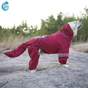  h h  y ʋC ybg p@CR[g@ uh[ ^  t CR[g WPbg S[fgo[ AXJ VFp[h o[j[Y}Ee T