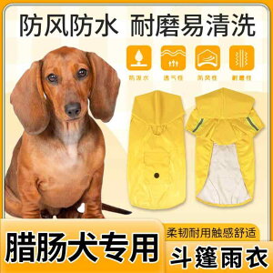 Jt[ht ₷ Gɂ ~J΍  p@CR[g@ _bNXtg p p CR[g ^ P[v X^C  Xgbv h h J t[ht 