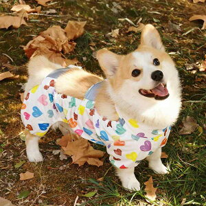 Jt[ht ₷ Gɂ ~J΍  p@CR[g@ R[M[ Č   l  Z    U  h~ h  |Pbg ho CR[g I[