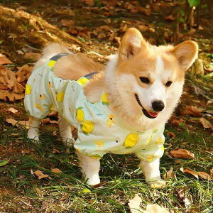 Jt[ht ₷ Gɂ ~J΍  p@CR[g@ R[M[ Č   l  Z    U  h~ h  |Pbg ho CR[g I[