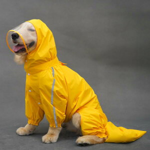 Jt[ht ₷ Gɂ ~J΍  p@CR[g@ LfB V lbg ybg ^  ^ t e[  L l  CR[g h 20 % It