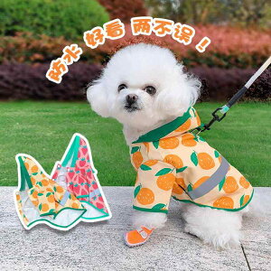 Jt[ht ₷ Gɂ ~J΍  p@CR[g@ vg q CR[g h |[^u ybg efB |jA rV   h~ 