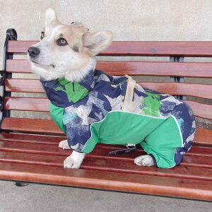 Jt[ht ₷ Gɂ ~J΍  p@CR[g@ R[M[ I[CN[Vu ^ p l  CR[g ybg  ی h J   