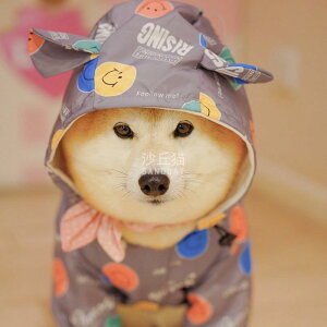 Jt[ht ₷ Gɂ ~J΍  p@CR[g@ p CR[g Č    R[M[ ^  ^ ybg h