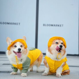 雨具フード付き 着せやすい 濡れにくい 梅雨対策 おしゃれ 犬用　レインコート　 ペット用 レインコート 犬用 ベスト コーギー カラーマッチング 小型 中型 大型 防水 雨の 日用 コート