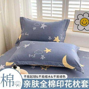 킢 􂦂 ɗD I[V[Y @Jo[ 2025N   Jo[ 1 g VO ƒp qp Ci[ 48 x 74 cm