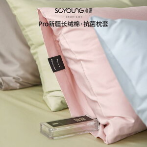 킢 􂦂 ɗD I[V[Y @Jo[  A R 100 SPro @   Jo[ 2024N 1 g