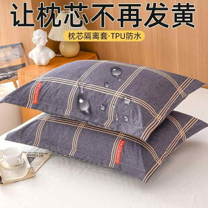 킢 􂦂 @Jo[ t    h ƒp  Jo[ 1 g 48 x 74 cm c u jp  ~