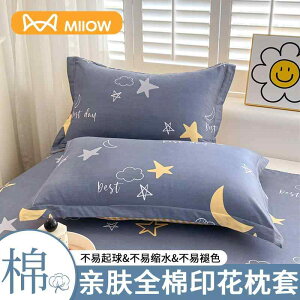 킢 􂦂 @Jo[ 2025N   Jo[ H~ 1 g VO ƒp qp 48 cmx 74 cm