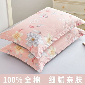 킢 􂦂 ɗD I[V[Y @Jo[  Ȃ  Jo[ l ƒp 100  48× 74 RA X[u 2024 yA