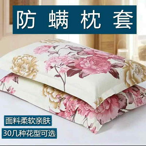  R hL  I[V[Y 􂦂 @Jo[  Jo[ l Jbv 傫TCY 48 * 74 VO  킢 wp jo[T I[ V[Y