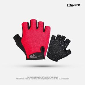 ~ ϖ g TCNO O[u  W EGXg C_[ TCNO O[u n[ttBK[ ėp jp [h }EeoCN V[g tBK[ pi 