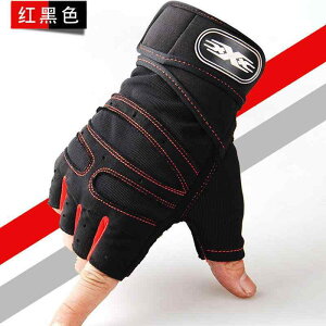 ~ ϖ g TCNO O[u  W Y fB[X tBbglX O[u _x  o[ X|[c g[jO ی ϖ vAbv A` RN[ 