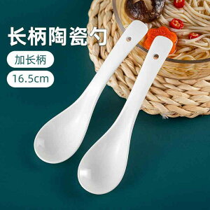  XeX k Xv[@XeX Z~bN Xv[ O nh ƒp X[v n  Hp  