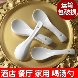  XeX k Xv[@XeX Z~bN Xv[ O nh / V[g  X[v ƒp ze Xg  