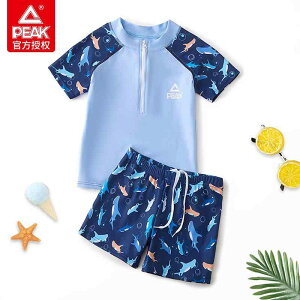 t XCEFA LbY V bVK[h @qp@킢 Peak qp  j̎qp Xvbg ~fBA [W Ăh~ xr[ wp j pc  X[c