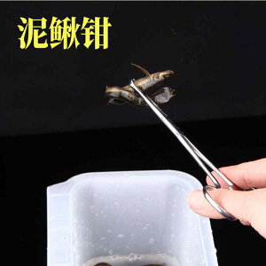 d| ނ AEghA ނj@A[@ނ Qianyu  ނ hWE Nv vC[   a tbN  EiMV ANZT[