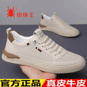 ���ɂ��� ���ɂ��� �N�b�V���� �V���v�� �R�� �h�L �V���[�Y�@�����Y�@�J�W���A�� �X�p�C�_�[ �L���O �����Y�V���[�Y �� �J�W���A�� �t�@�b�V���� ���\ �� �ʋC�� �v �\�t�g �\�[�� ����