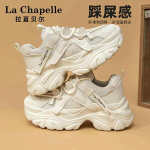 IV ₷ EH[LO ꂢ fB[X@_bh@V[Y Vy bV _bh V[Y fB[X 2025 t g Abv  zCg JWA X|[c